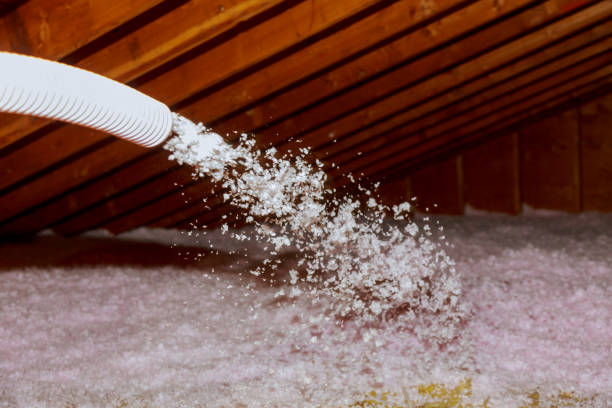 Best Attic Insulation Installation  in Abingdon, MD